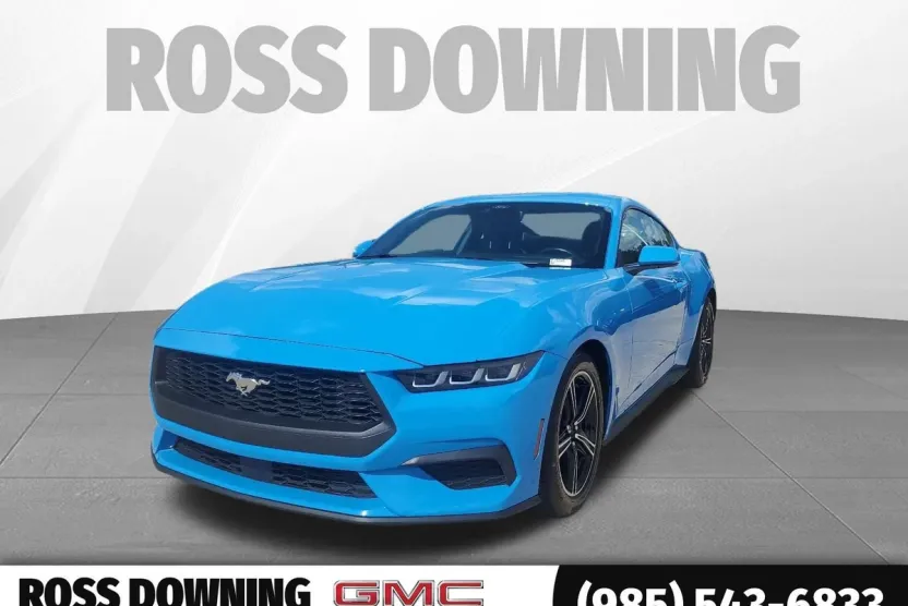 2024 Ford Mustang EcoBoost Premium photo 1