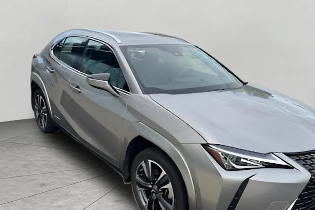 2022 Lexus UX 250h photo 1