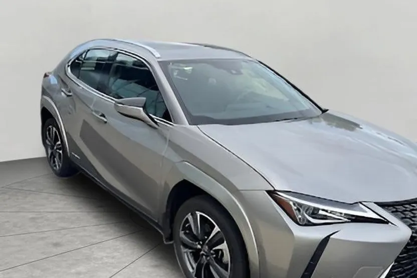 2022 Lexus UX 250h photo 1