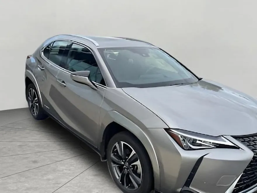 2022 Lexus UX 250h photo 1