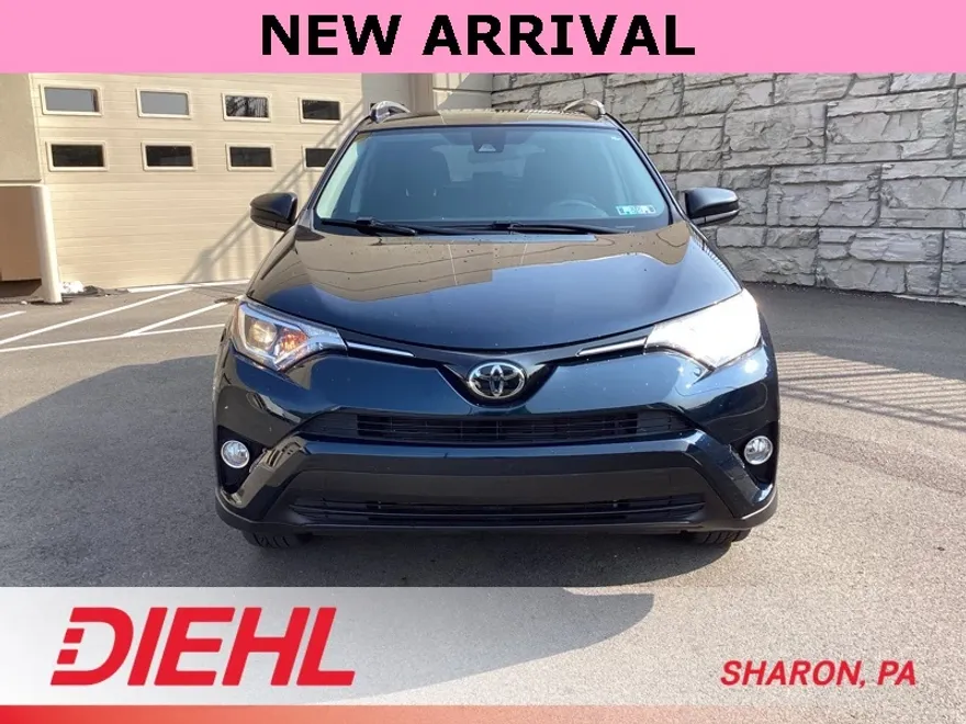 2017 Toyota RAV4 LE Sport photo 1
