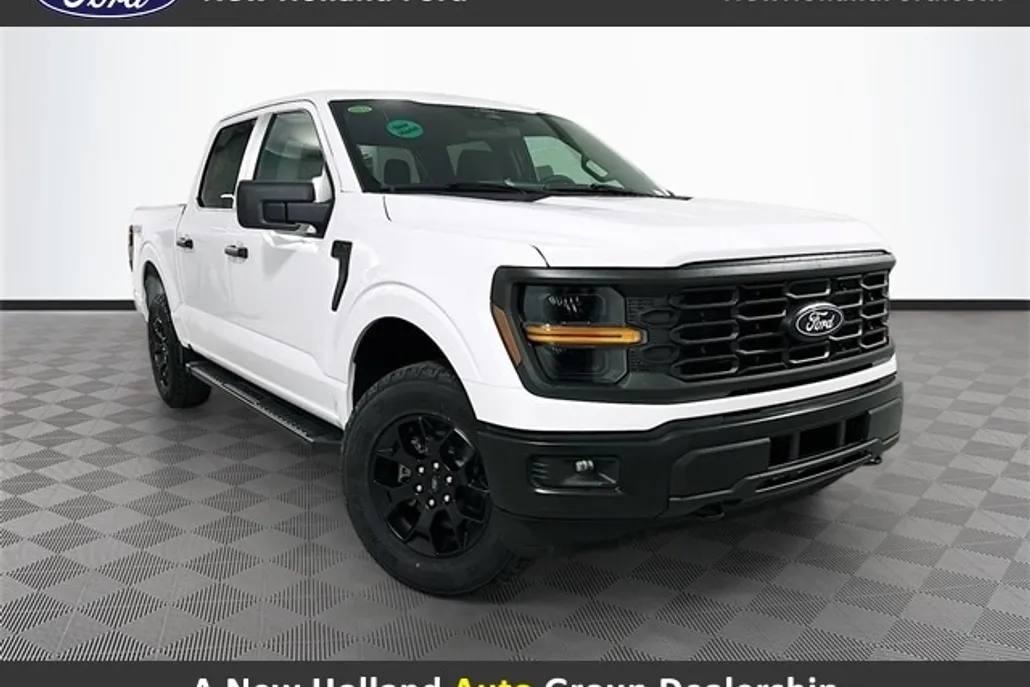 2025 Ford F-150 STX photo 1