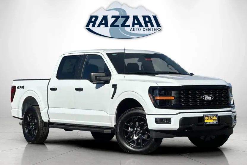 2025 Ford F-150 STX photo 1