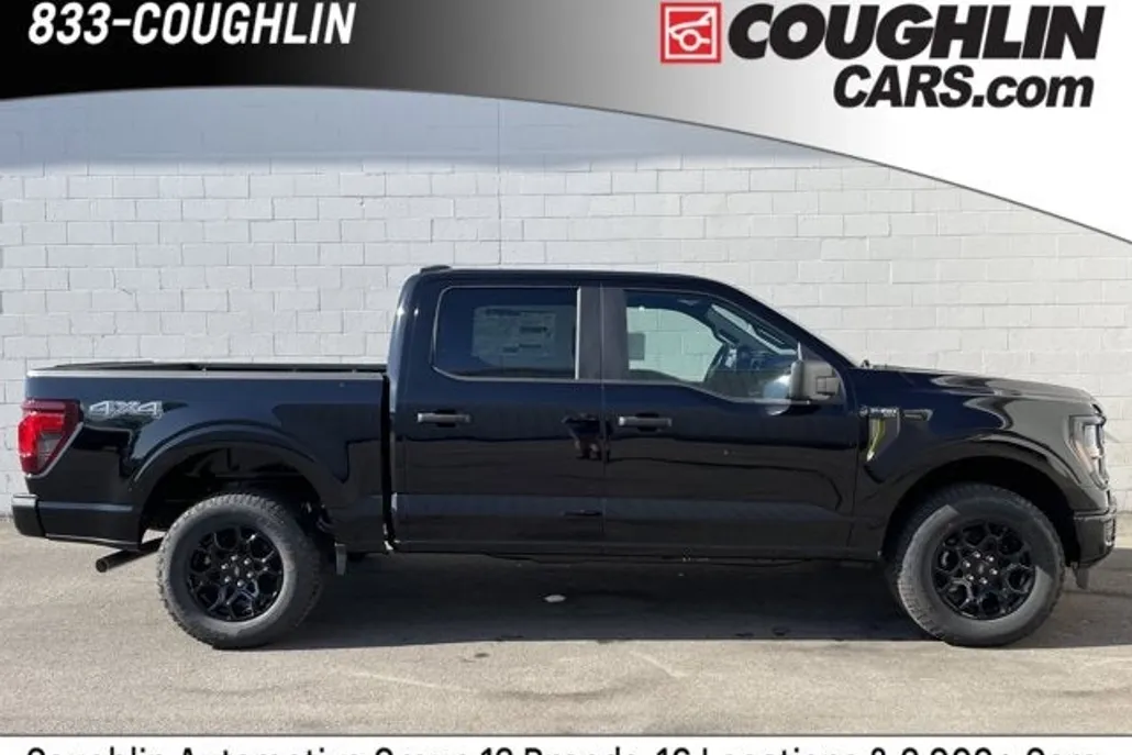 2025 Ford F-150 STX photo 1
