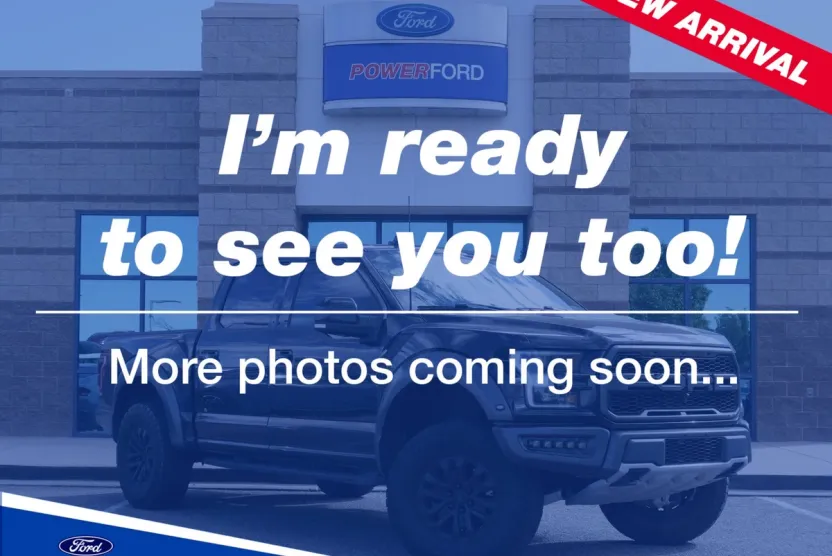 2020 Ford F-150 Raptor photo 1
