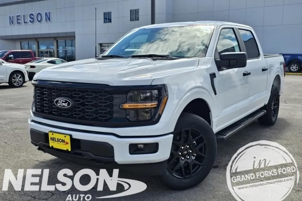 2025 Ford F-150 STX photo 1