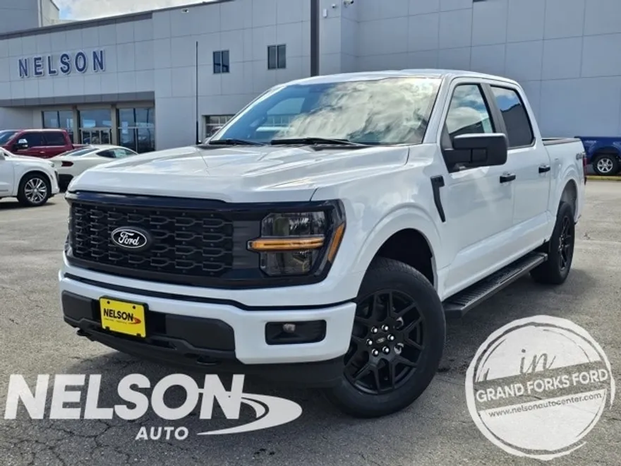 2025 Ford F-150 STX photo 1