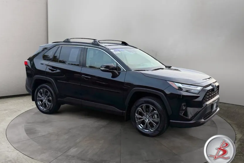 2023 Toyota RAV4 XLE Premium photo 1