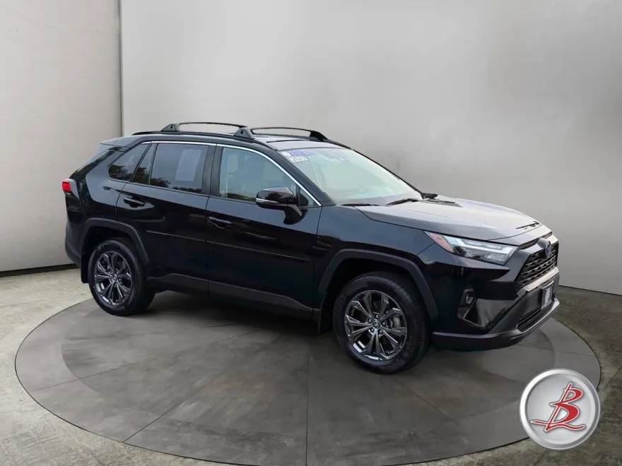 2023 Toyota RAV4 XLE Premium photo 1