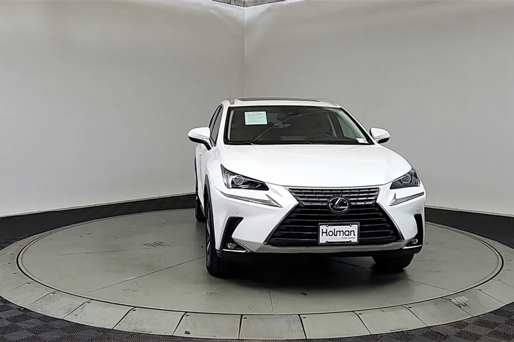 2018 Lexus NX 300 Luxury photo 1