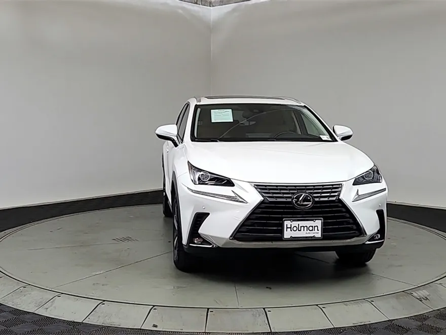 2018 Lexus NX 300 Luxury photo 1