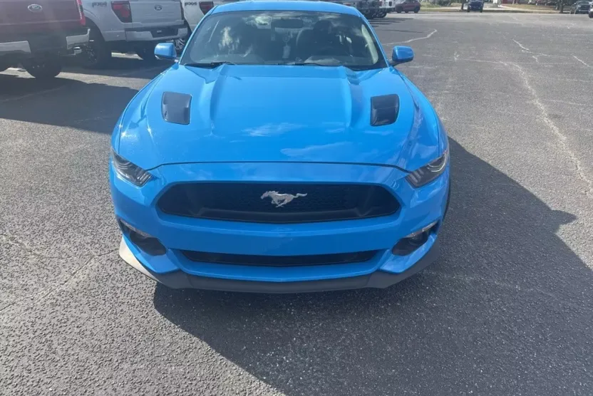2017 Ford Mustang GT photo 1