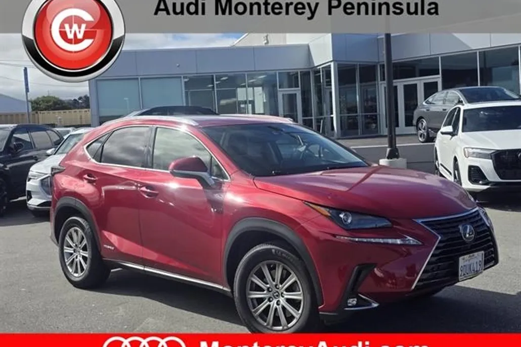 2019 Lexus NX 300h Luxury photo 1