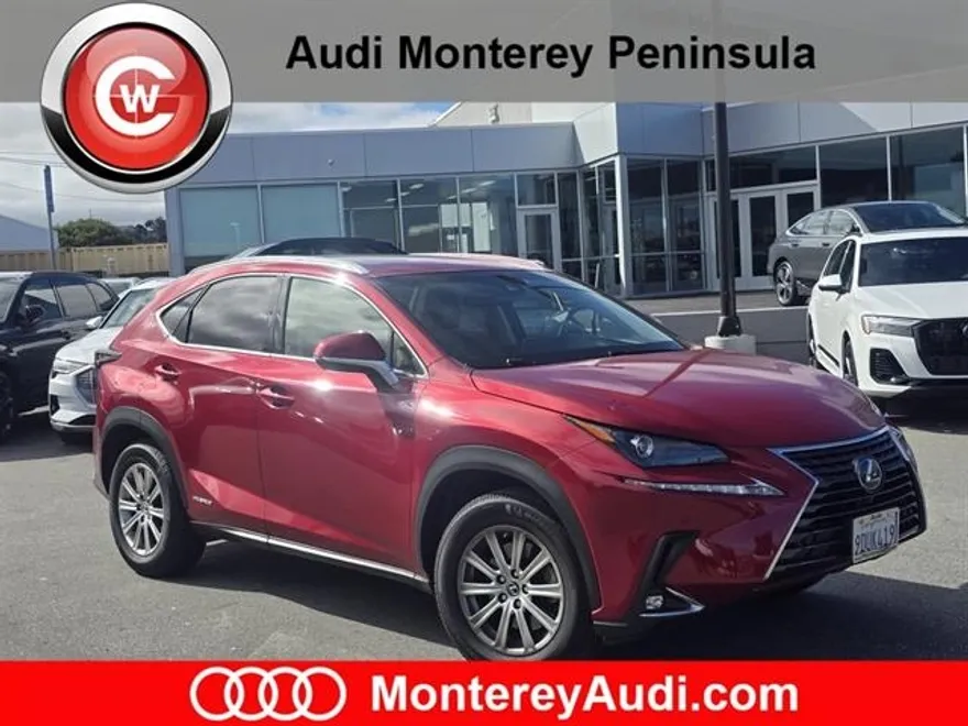 2019 Lexus NX 300h Luxury photo 1