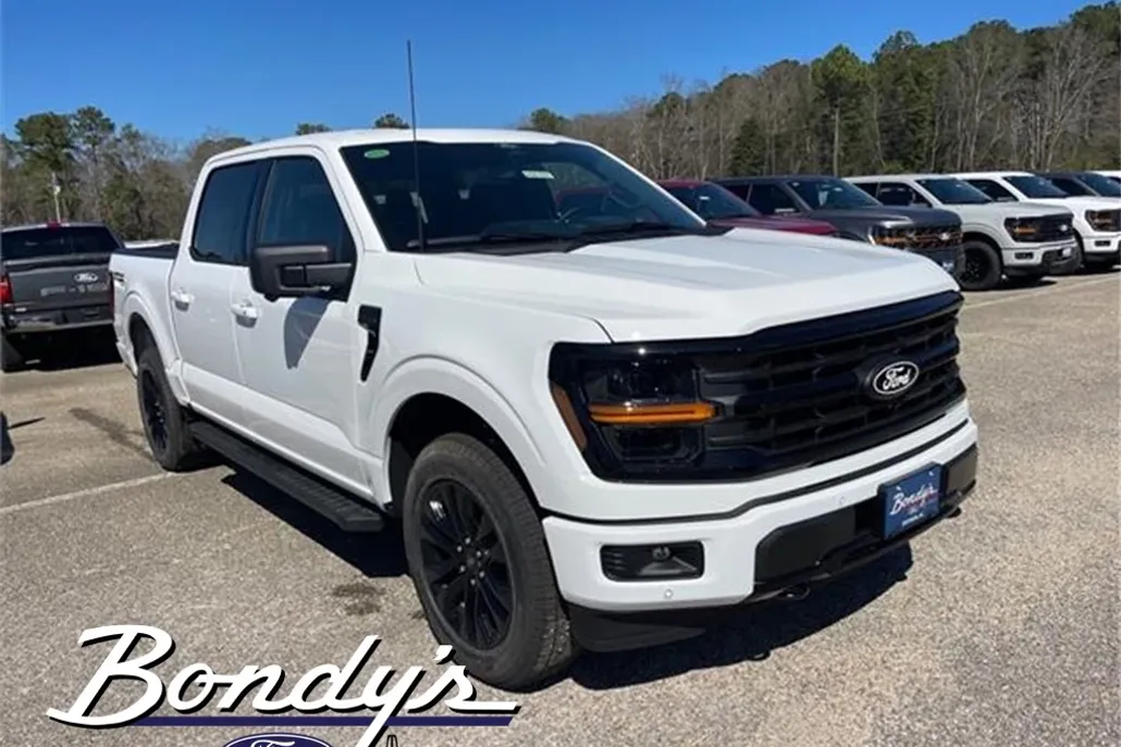 2025 Ford F-150 XLT photo 1