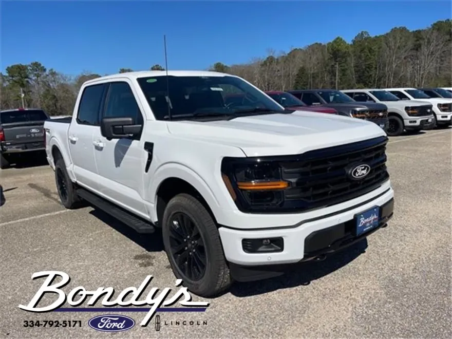 2025 Ford F-150 XLT photo 1