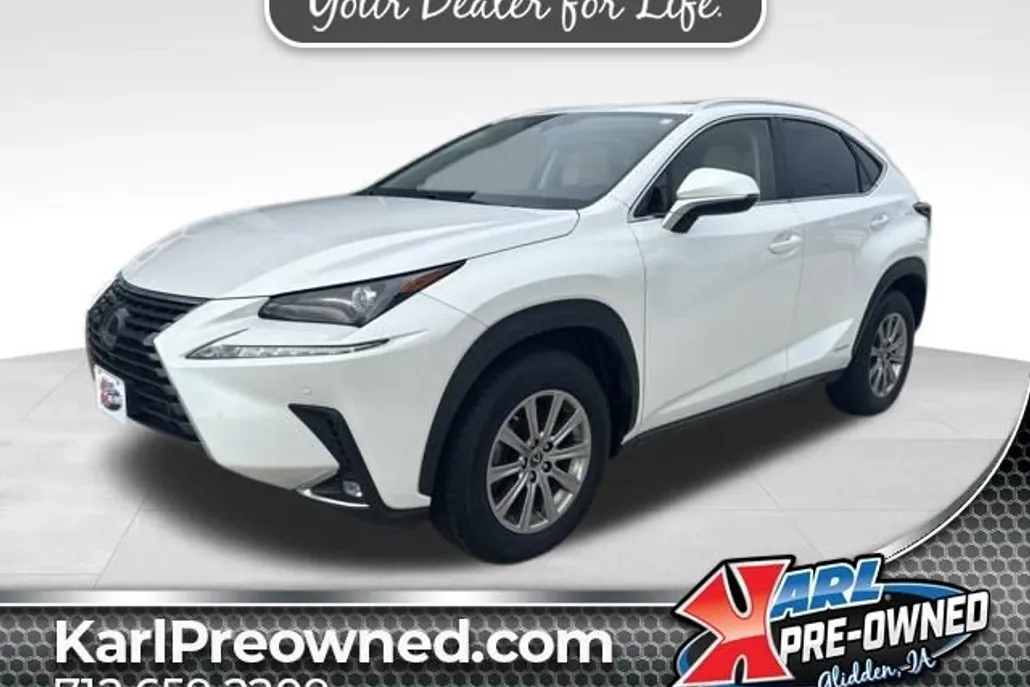 2021 Lexus NX 300h photo 1