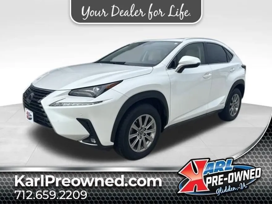 2021 Lexus NX 300h photo 1