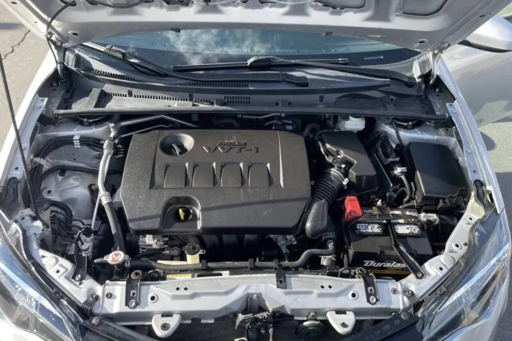 2019 Toyota Corolla LE photo 1