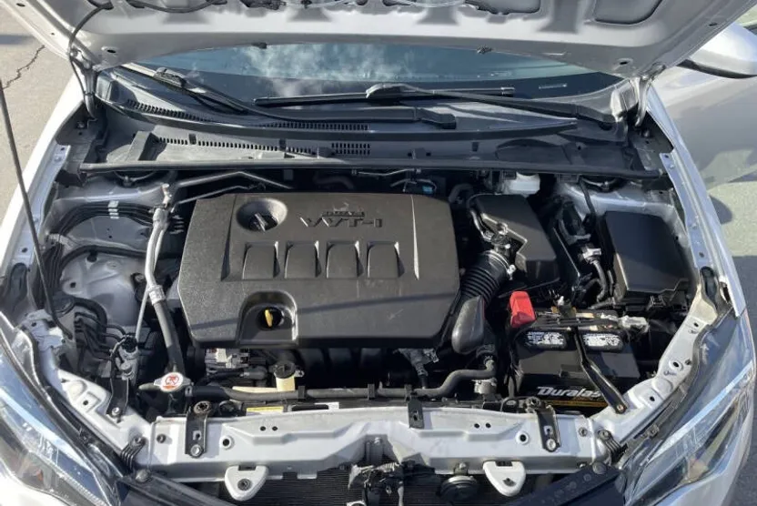 2019 Toyota Corolla LE photo 1