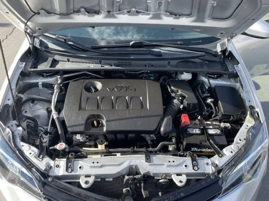2019 Toyota Corolla LE photo 1