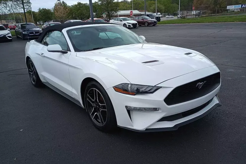 2023 Ford Mustang EcoBoost Premium photo 1