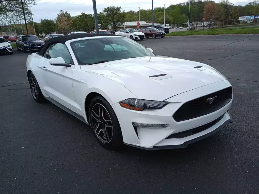 2023 Ford Mustang EcoBoost Premium photo 1