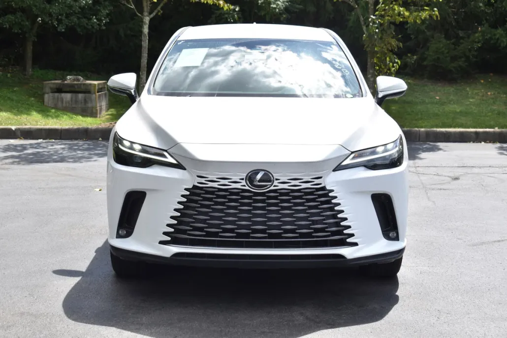 2024 Lexus RX 350 photo 1