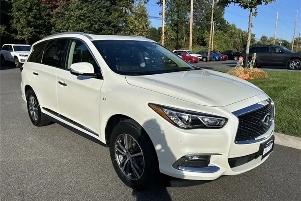 2019 Infiniti QX60 Luxe photo 1