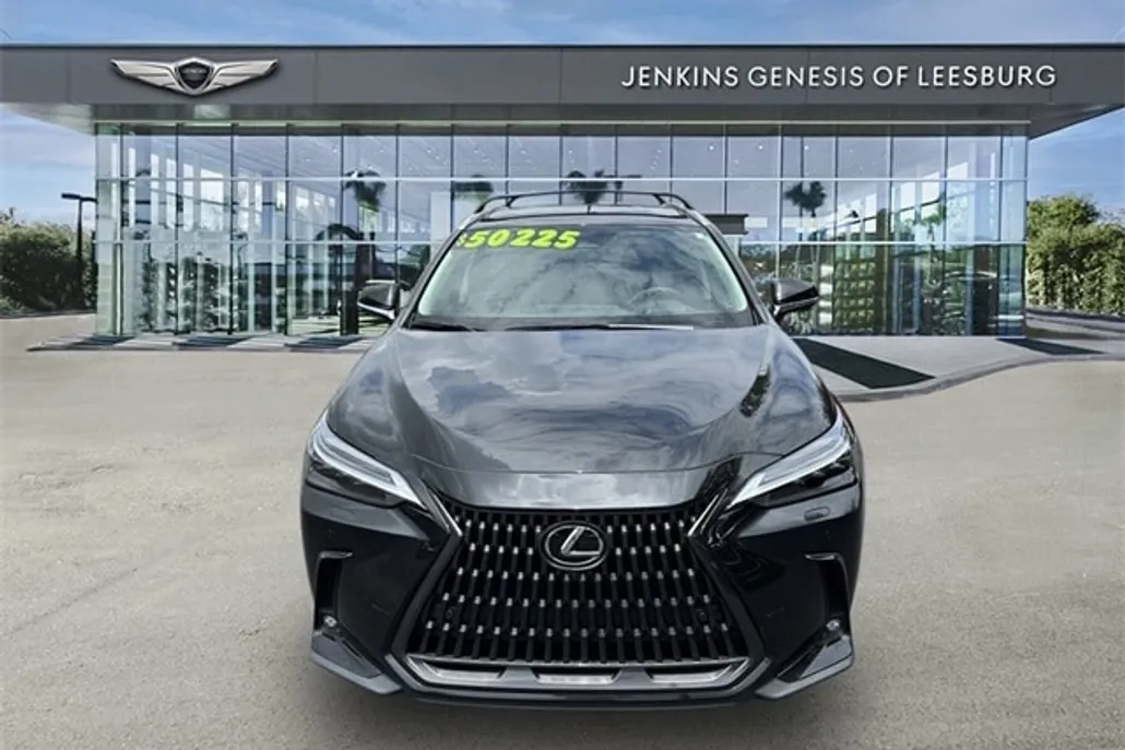 2023 Lexus NX 350h Luxury photo 1