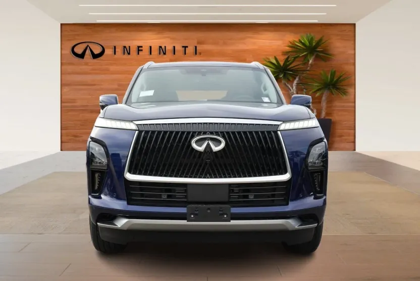 2025 Infiniti QX80 Pure photo 1