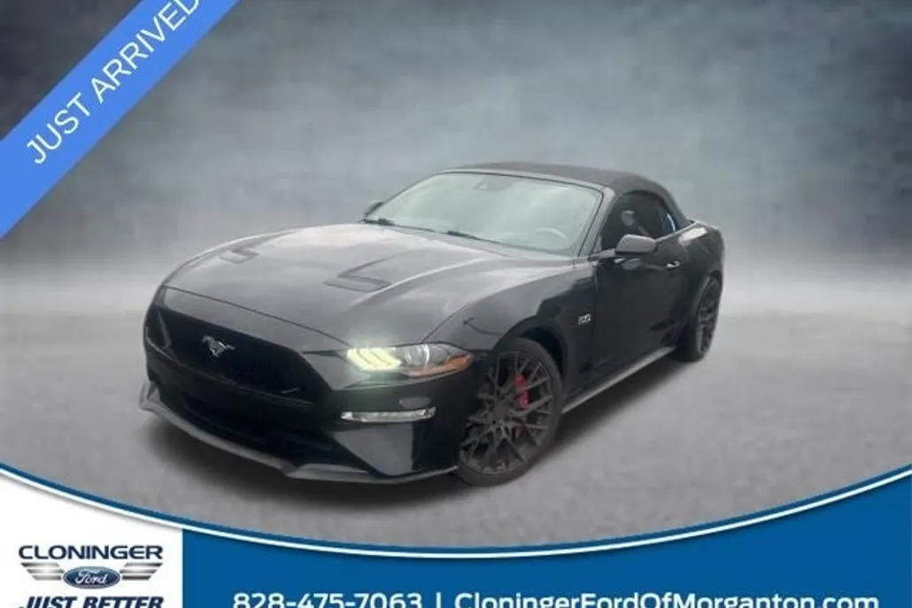 2020 Ford Mustang GT Premium photo 1
