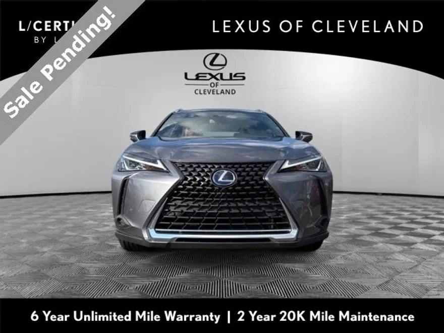 2020 Lexus UX 250h photo 1