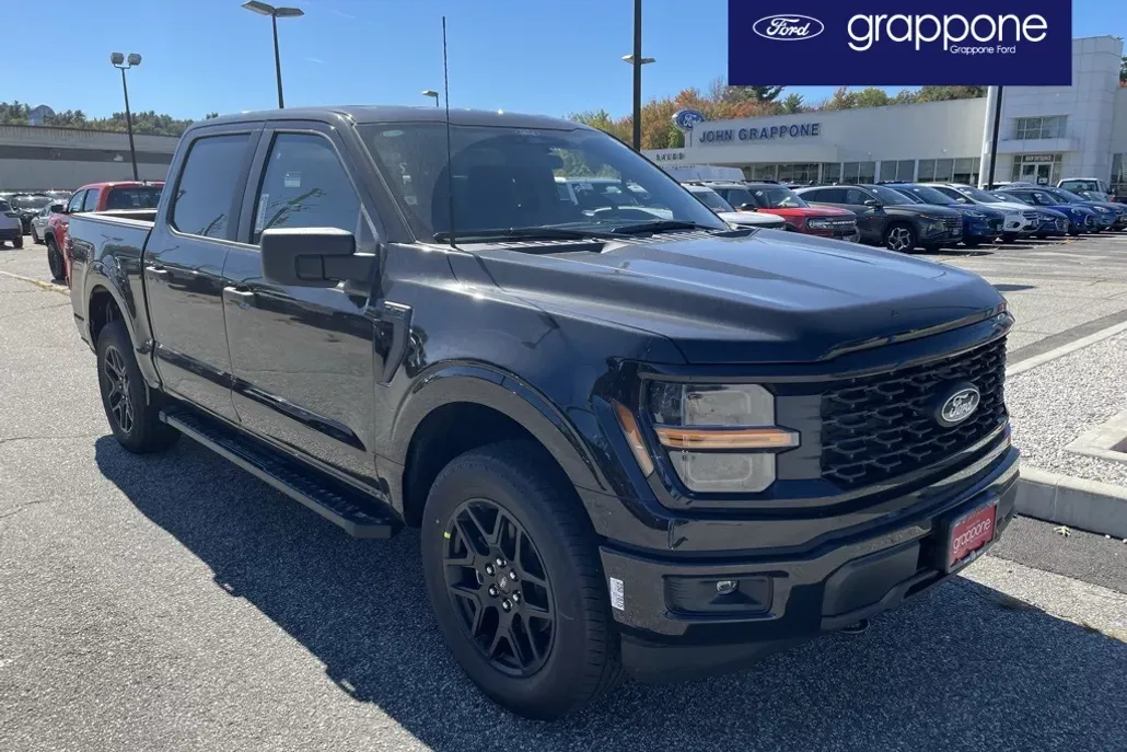 2025 Ford F-150 STX photo 1