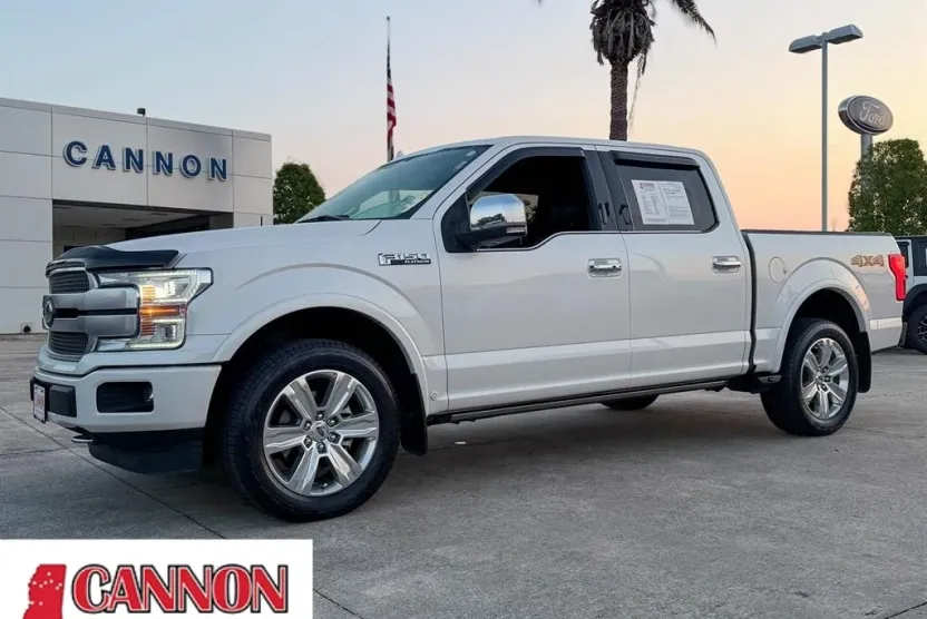 2019 Ford F-150 Platinum photo 1
