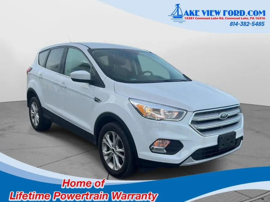 2019 Ford Escape SE photo 1