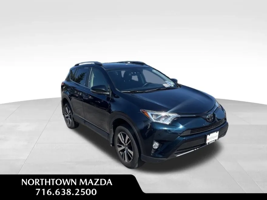 2017 Toyota RAV4 XLE photo 1