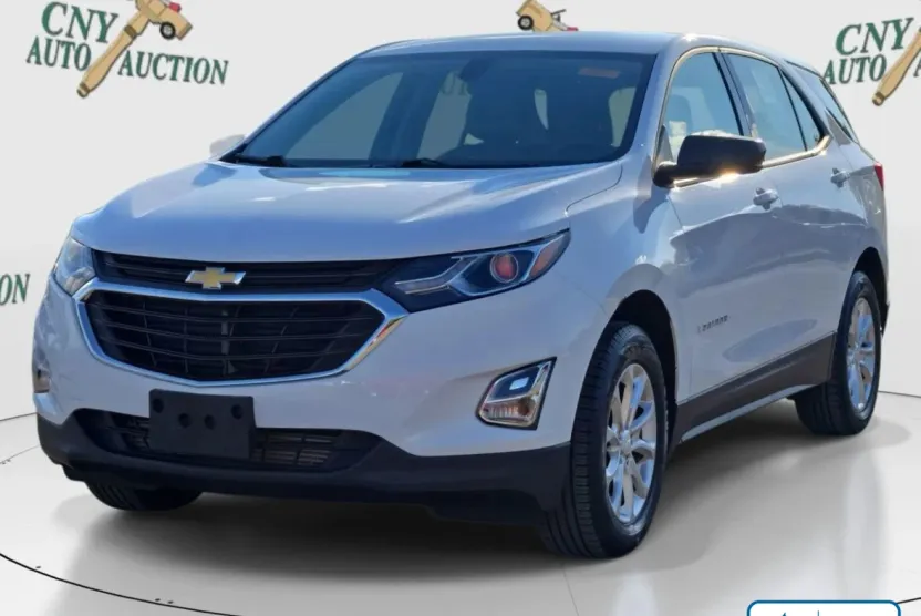 2018 Chevrolet Equinox LS photo 1