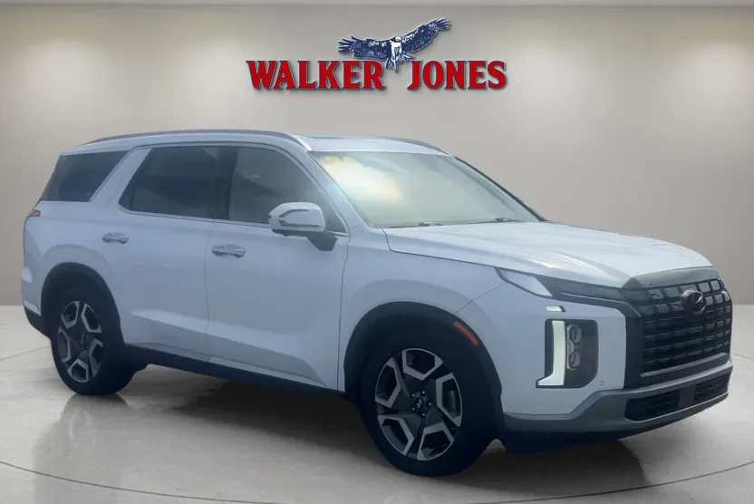 2024 Hyundai Palisade Limited photo 1