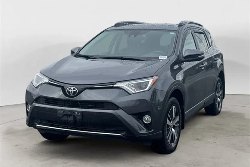 2017 Toyota RAV4 XLE photo 1