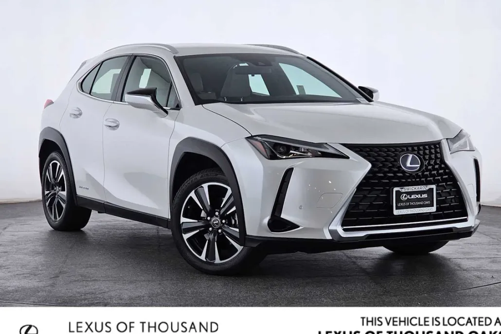 2021 Lexus UX 250h photo 1
