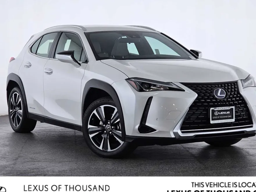 2021 Lexus UX 250h photo 1