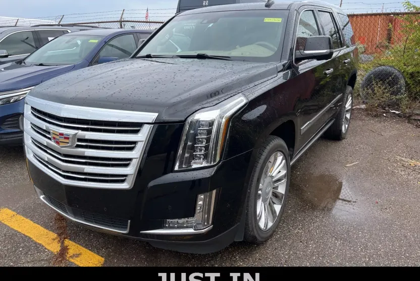 2019 Cadillac Escalade Platinum photo 1