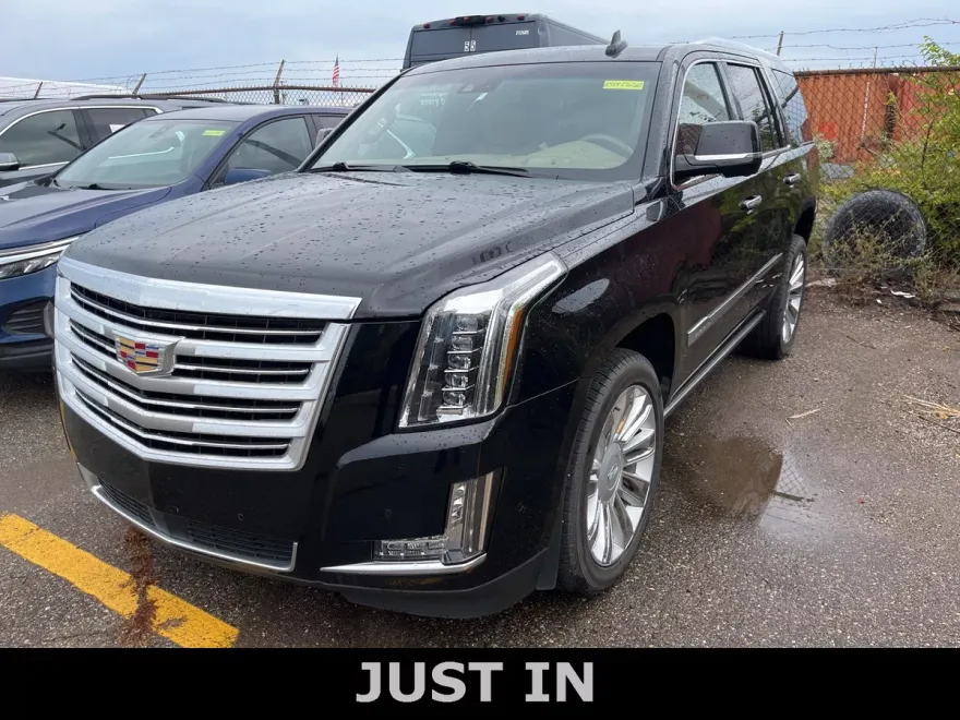 2019 Cadillac Escalade Platinum photo 1