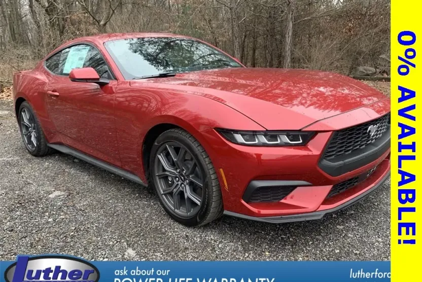 2024 Ford Mustang EcoBoost Premium photo 1