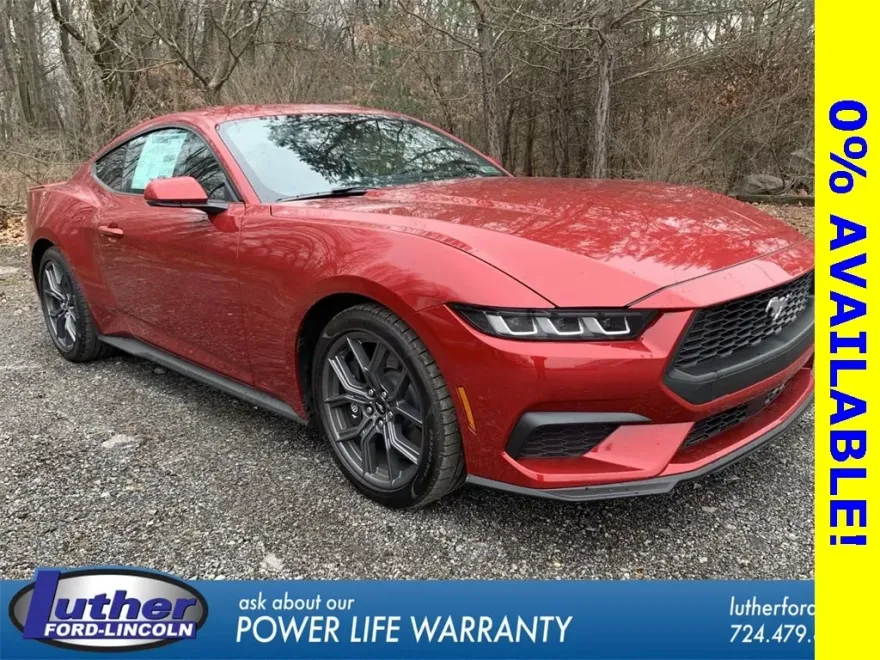 2024 Ford Mustang EcoBoost Premium photo 1
