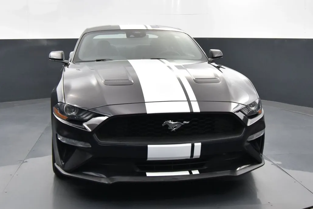 2022 Ford Mustang EcoBoost photo 1