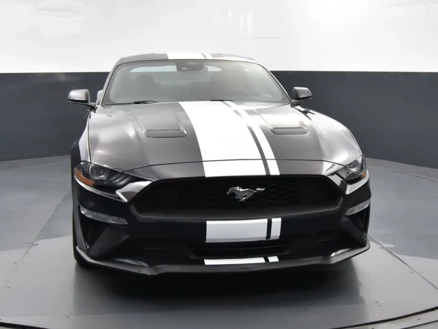2022 Ford Mustang EcoBoost photo 1