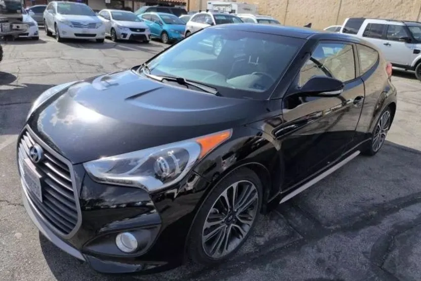 2016 Hyundai Veloster Turbo photo 1