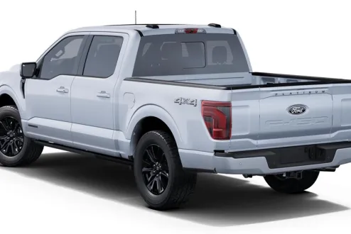 2025 Ford F-150 Platinum photo 2